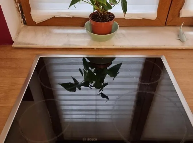 Diana's Place Downtown *