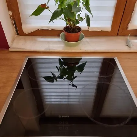 Diana's Place Downtown *