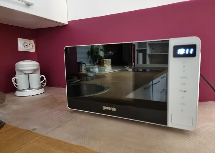 Diana's Place Downtown ホテル ブカレスト